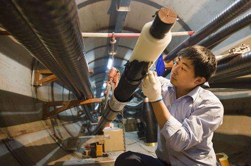 1687748517165799.jpeg 1313e391a41552e1ec64641e847c4d14.jpeg