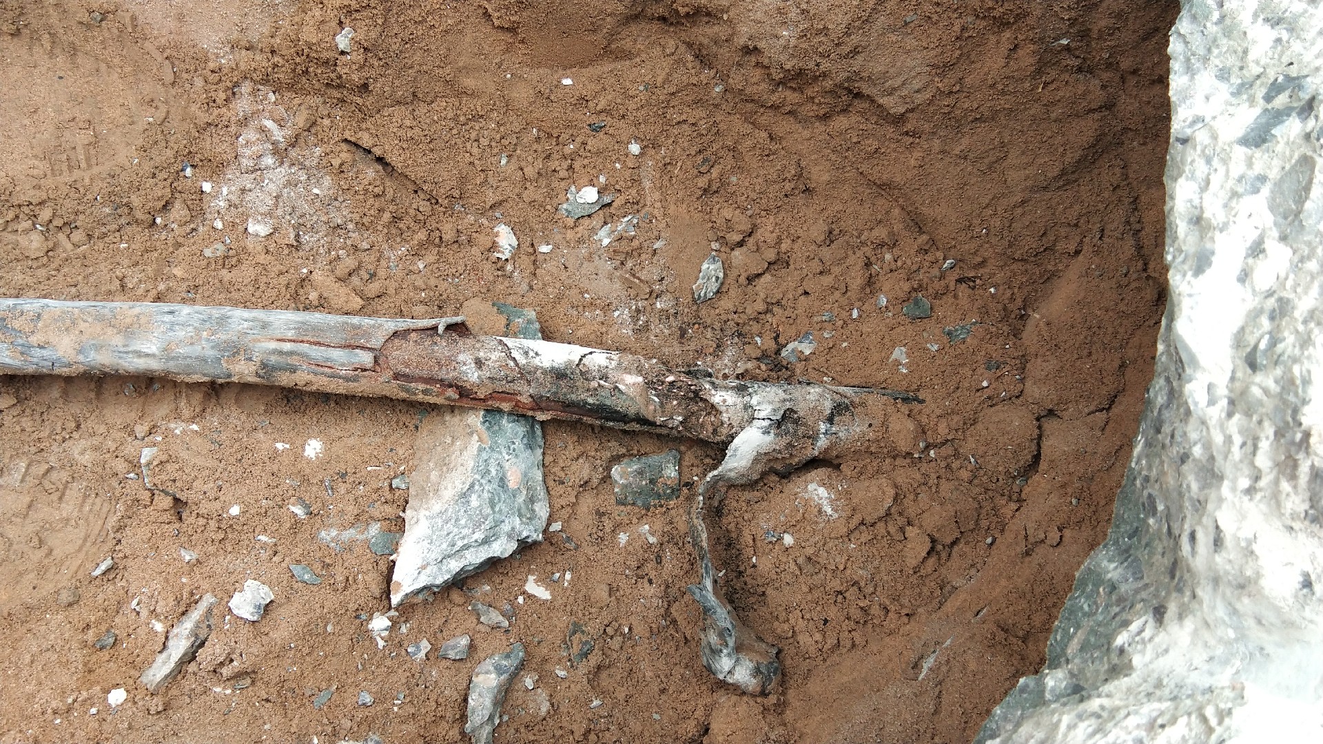 1688525691127772.jpg IMG_20210402_121627.jpg